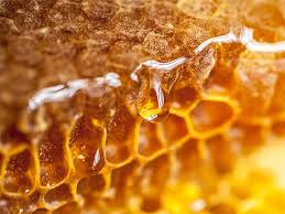 ORGANIC HONEY 2KG